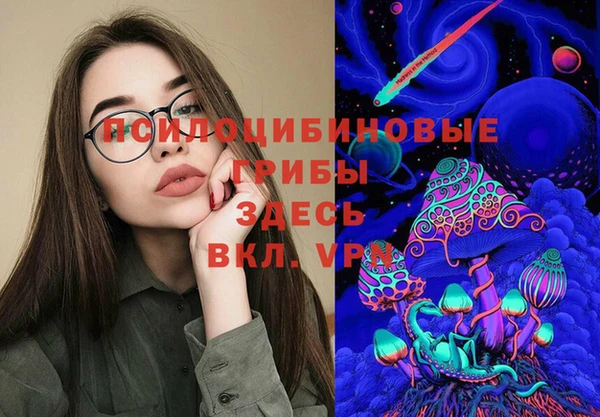 дмт Арсеньев