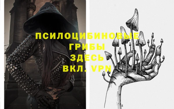 индика Балахна