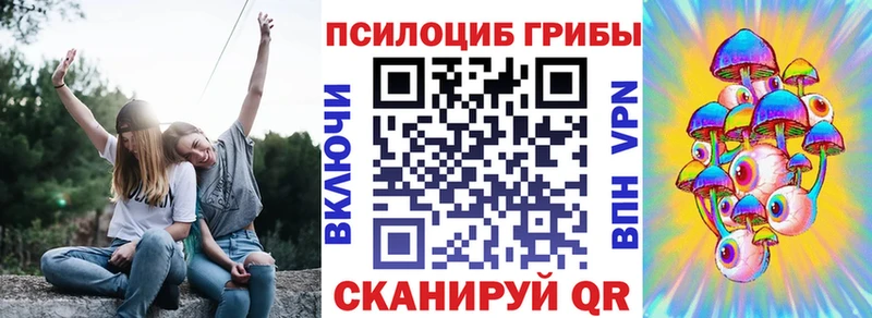 купить наркотик  ОМГ ОМГ рабочий сайт  Галлюциногенные грибы прущие грибы  Сясьстрой 